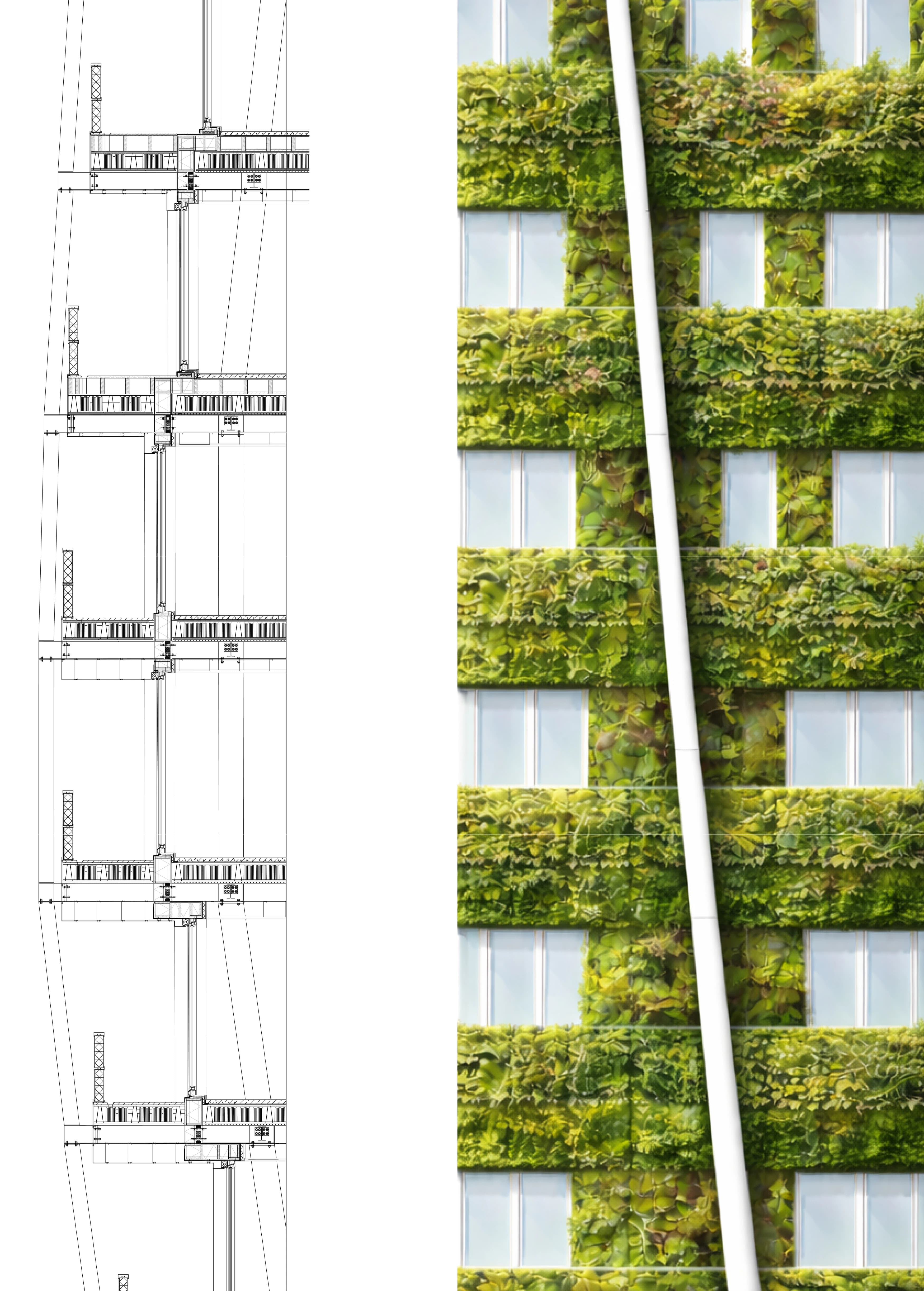 Project image 1