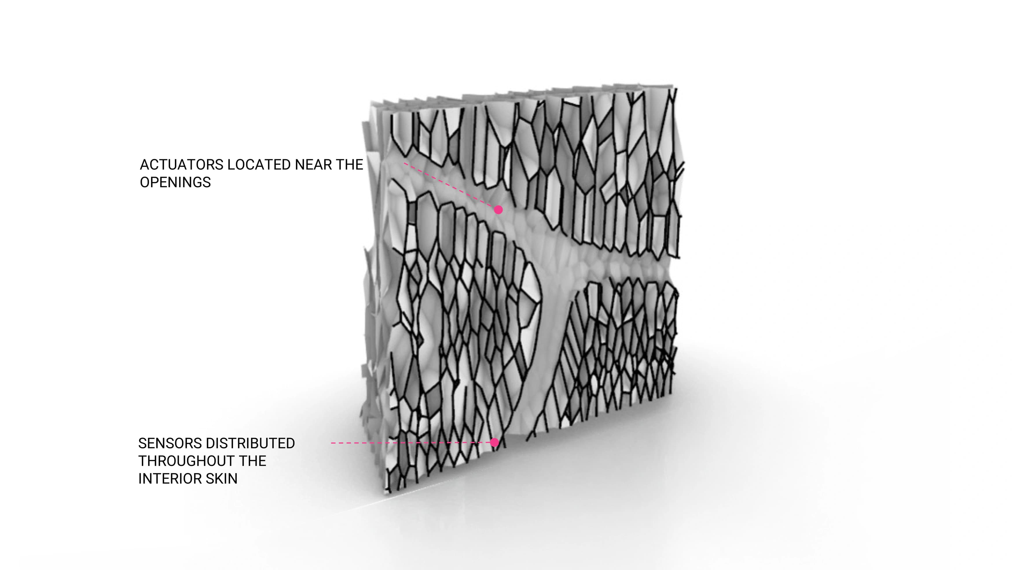 Project image 9