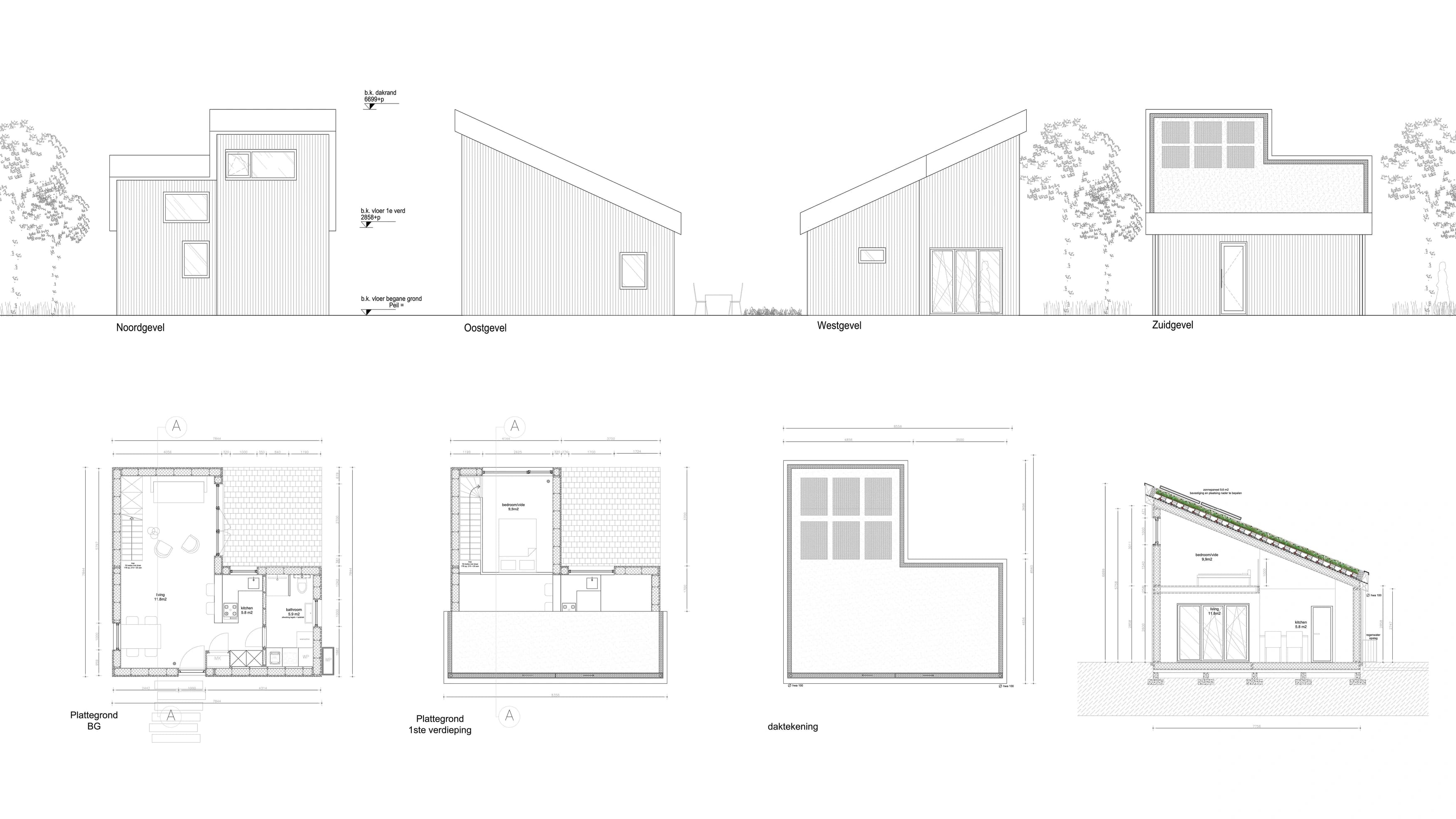Tiny Blue House Design